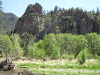 Springtime in the Gila